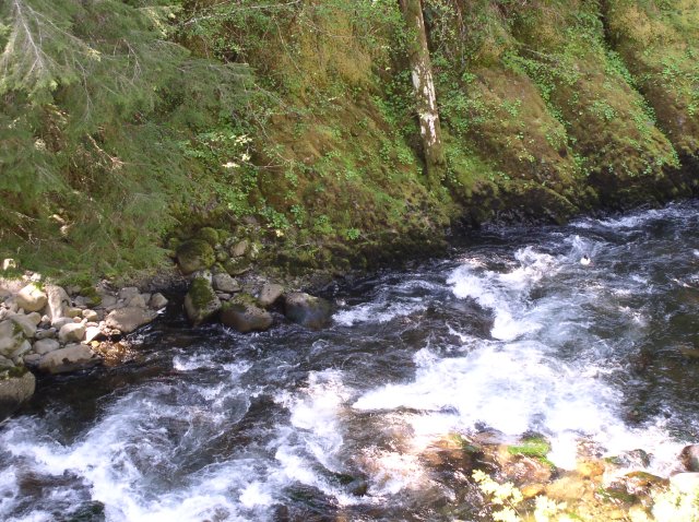 5.5.06 Eagle Creek 079 